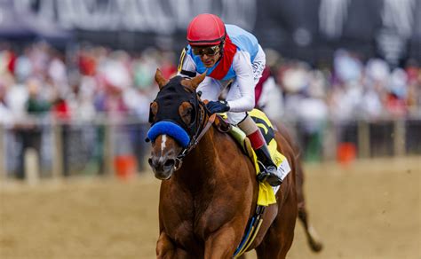 belmont racing dudes|predictem free picks today belmont.